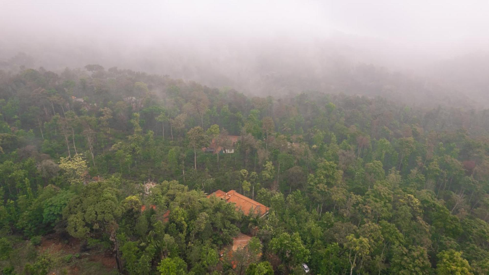 Kingmaker'S Plantation With River Stream Villa Madikeri Exterior foto