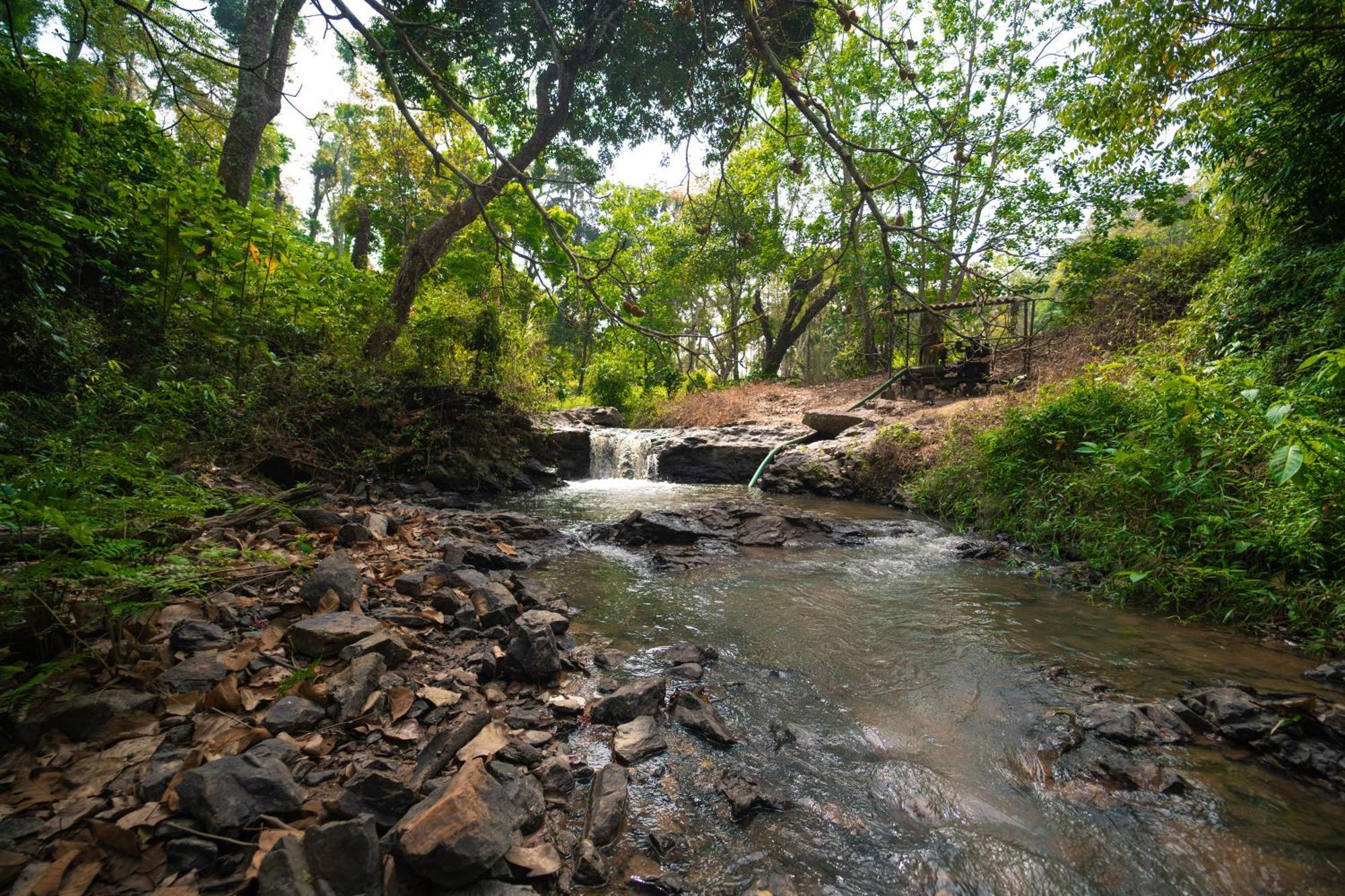 Kingmaker'S Plantation With River Stream Villa Madikeri Exterior foto